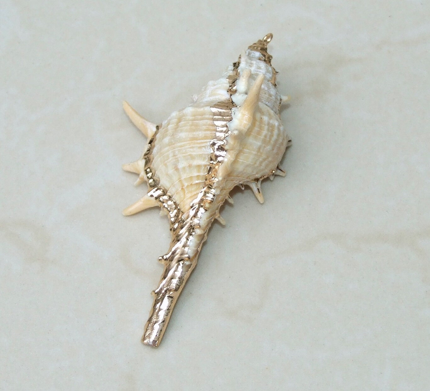 Gold or Silver Natural Murex Turnispina Seashell Pendant, Spiral Shell Bead, Display Shell, Jewelry Shell, Conch Shell, Beach Decor, 50-85mm - EDGBeadsandGems