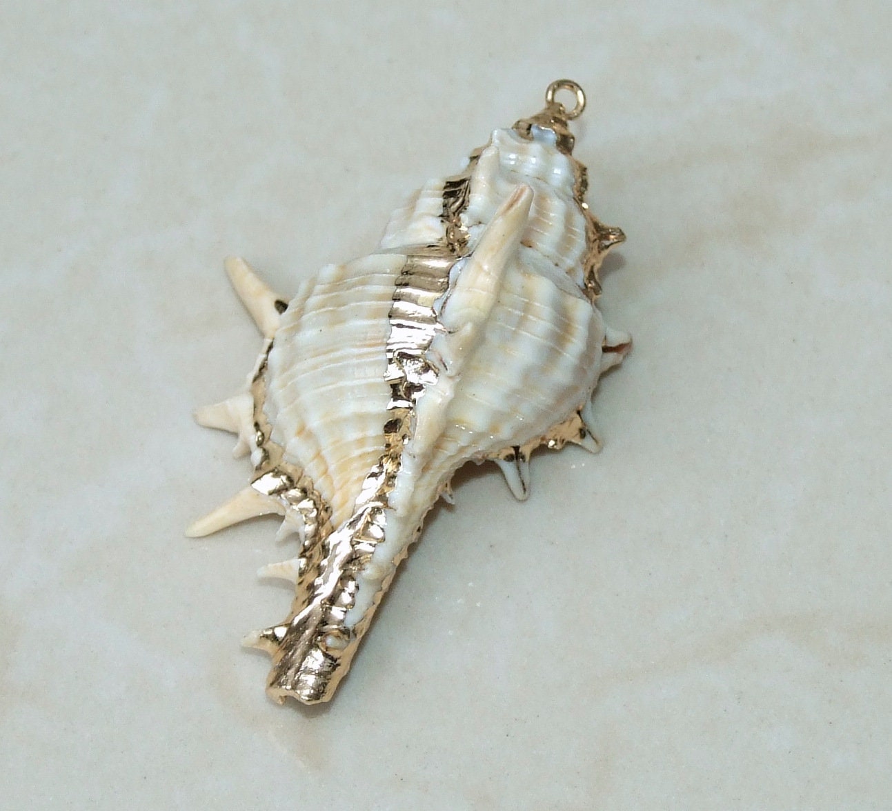 Gold or Silver Natural Murex Turnispina Seashell Pendant, Spiral Shell Bead, Display Shell, Jewelry Shell, Conch Shell, Beach Decor, 50-85mm - EDGBeadsandGems