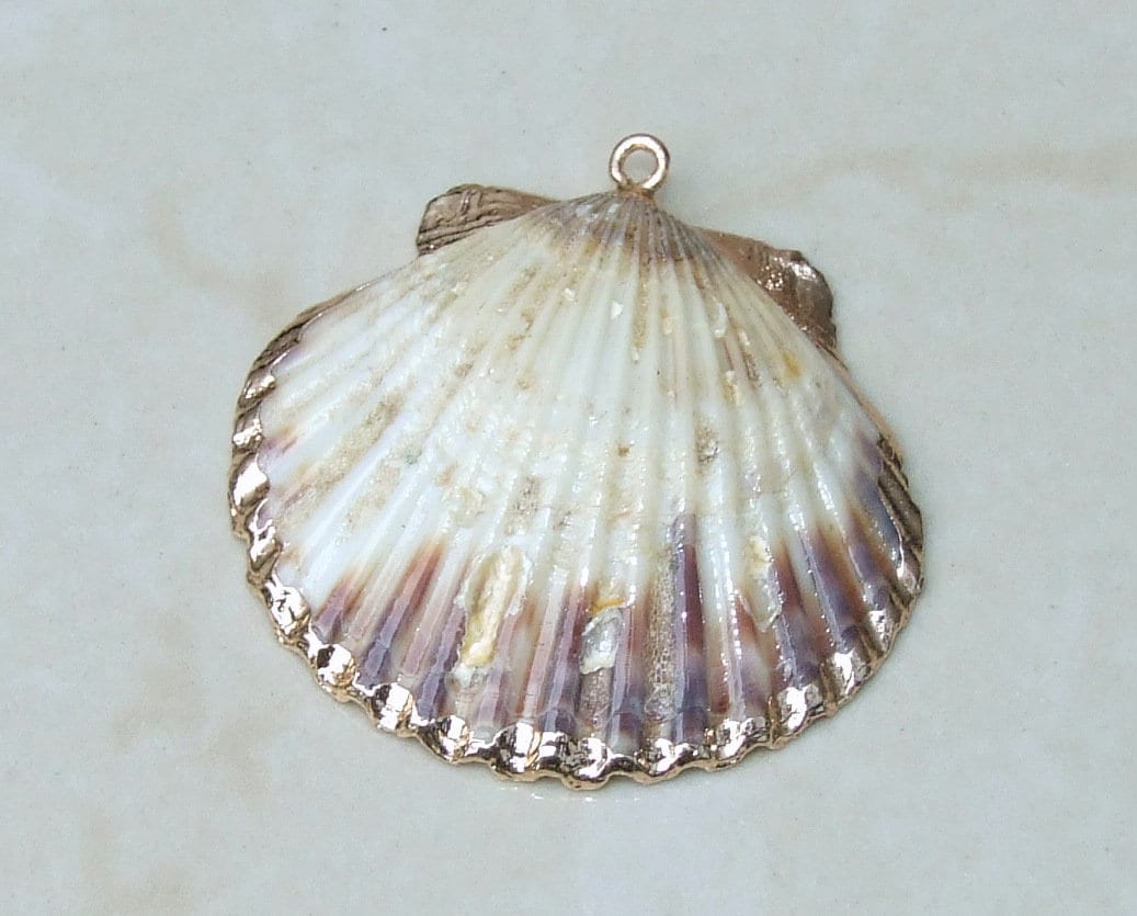 Natural Scallop Shell Pendant, Gold Edge, Deep Sea Shell, Shell Necklace, Beach Jewelry, Ocean Seashell, Medium, Large, In Three Colors, NB - EDGBeadsandGems