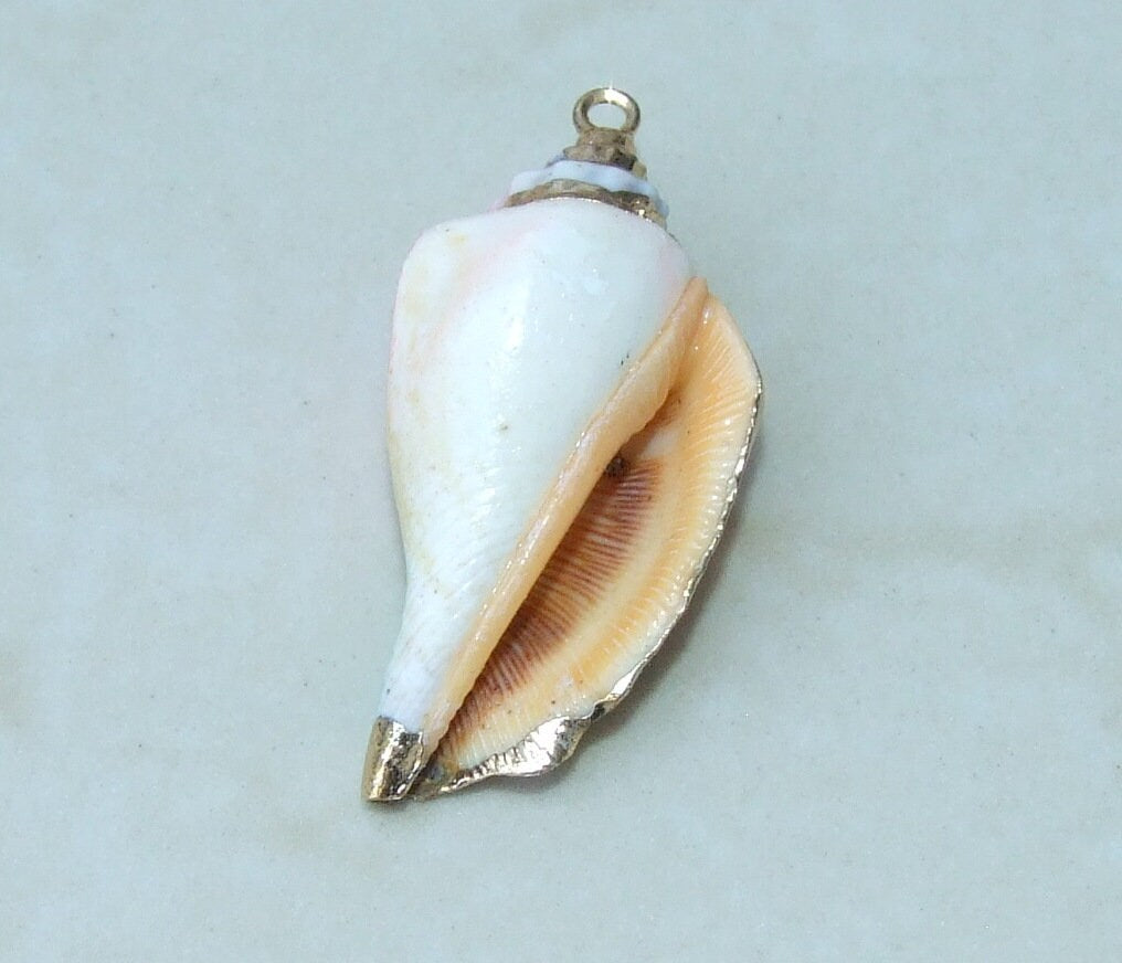 Hand Painted Gold Edge Natural Spiral Sea Shell Pendant, Spiral Shell Bead, Seashell Pendant, Shell Jewelry, Conch Shell, 35-45mm, O2C - EDGBeadsandGems