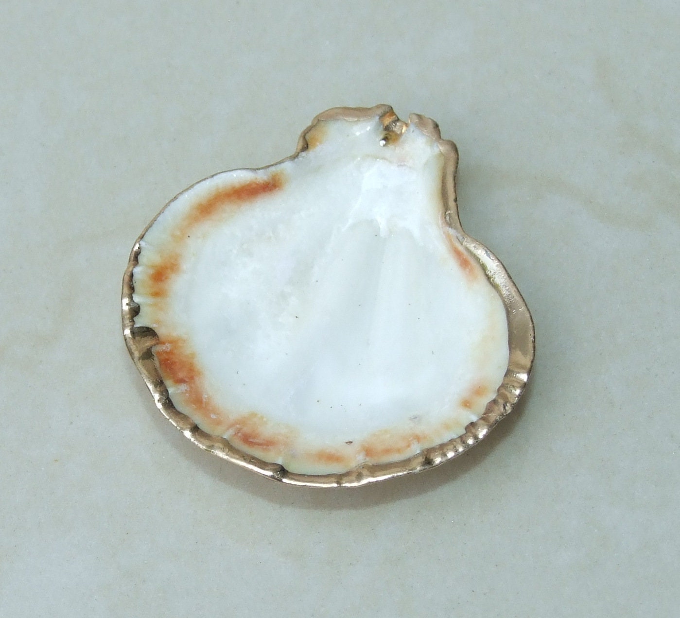 Natural Scallop Shell Pendant, Gold Edge Loop, Natural Seashell, Deep Sea, Shell Necklace, Beach Jewelry, Ocean Seashell, 32-42mm, 75-01 - EDGBeadsandGems