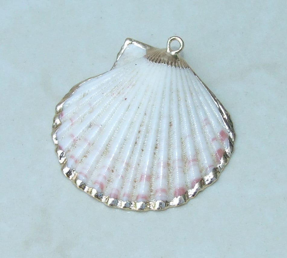 Natural Scallop Shell Pendant, Gold Edge Loop, Seashell Pendant, Seashell Necklace, Beach Jewelry, Ocean Seashell, 37mm, 45mm, 55m, 62-32 - EDGBeadsandGems