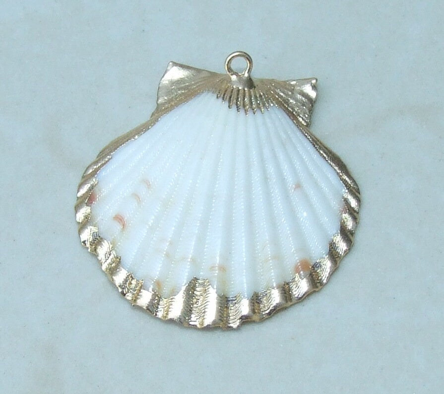 Natural Scallop Shell Pendant, Gold Edge Loop, Seashell Pendant, Seashell Necklace, Beach Jewelry, Ocean Seashell, 37mm, 45mm, 55m, 62-32 - EDGBeadsandGems