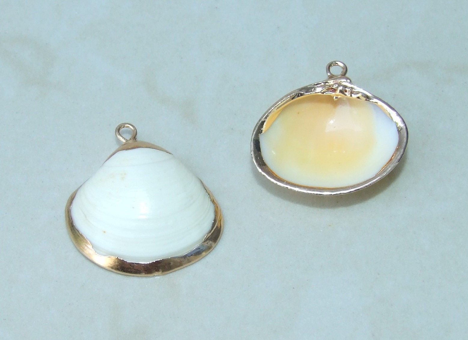 Pair of Small Clam Shell Pendant, Gold Edge Loop, Natural Seashell, Seashell Necklace, Beach Jewelry, Ocean Seashell, 25mm x 25mm, 09-01 - EDGBeadsandGems