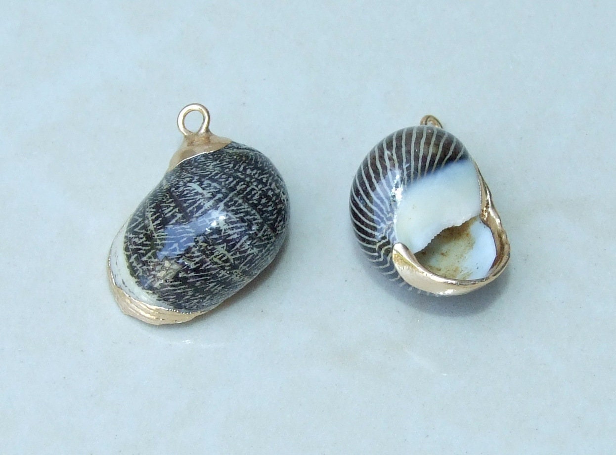 Pair of Small Snail Shell Pendant, Gold Edge Loop, Natural Seashell, Seashell Necklace, Beach Jewelry, Ocean Seashell, 15mm x 20mm, 09-06 - EDGBeadsandGems