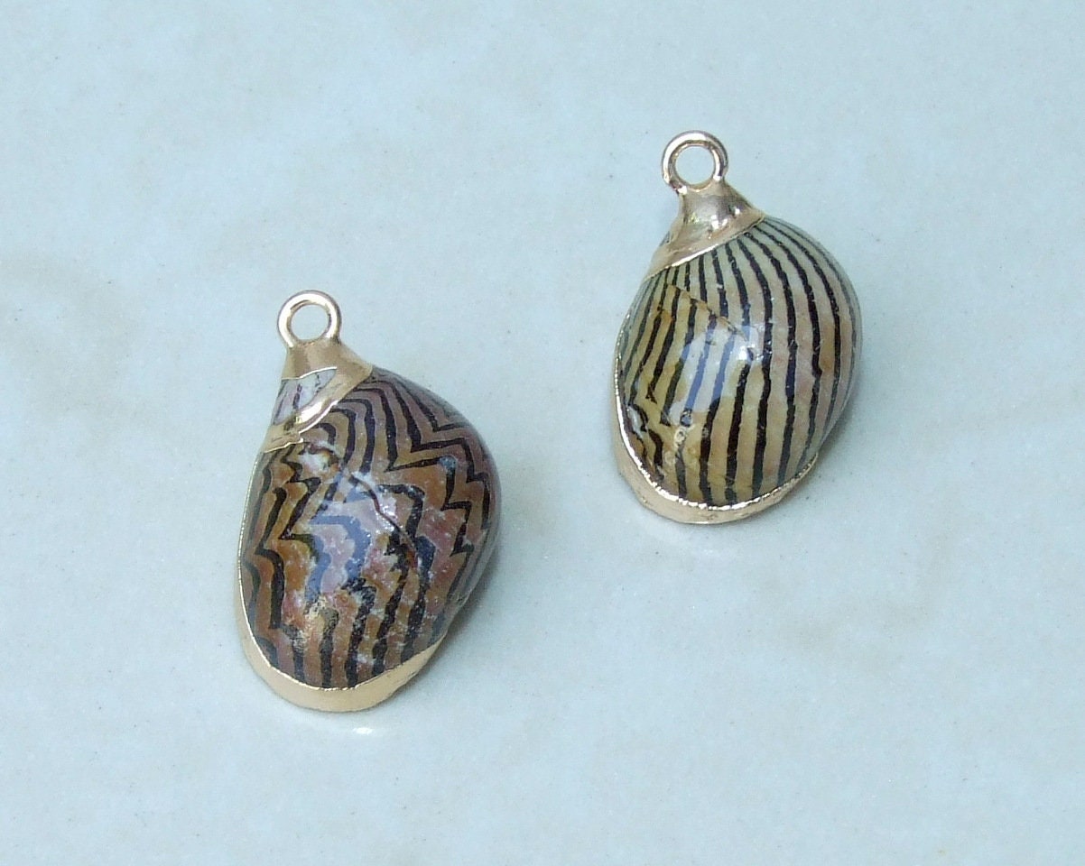 Pair of Small Snail Shell Pendant, Gold Edge Loop, Natural Seashell, Seashell Necklace, Beach Jewelry, Ocean Seashell, 15mm x 20mm, 09-06 - EDGBeadsandGems