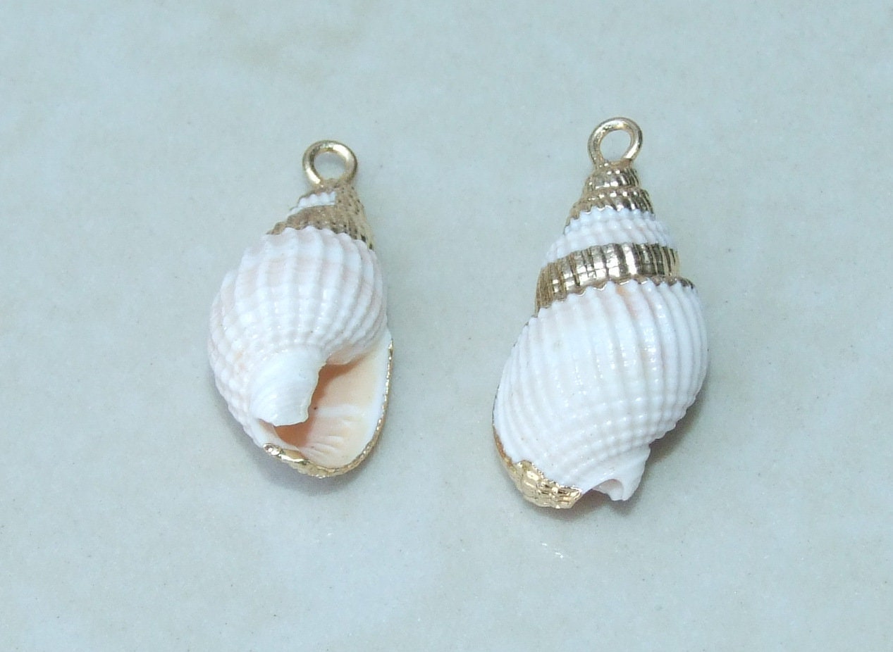 Pair Small Natural Gold Edge Seashell Pendants, Spiral Shell Bead, Seashell Pendant, Ocean Shell Jewelry, Conch Shell, 20-25mm, 09-23 - EDGBeadsandGems