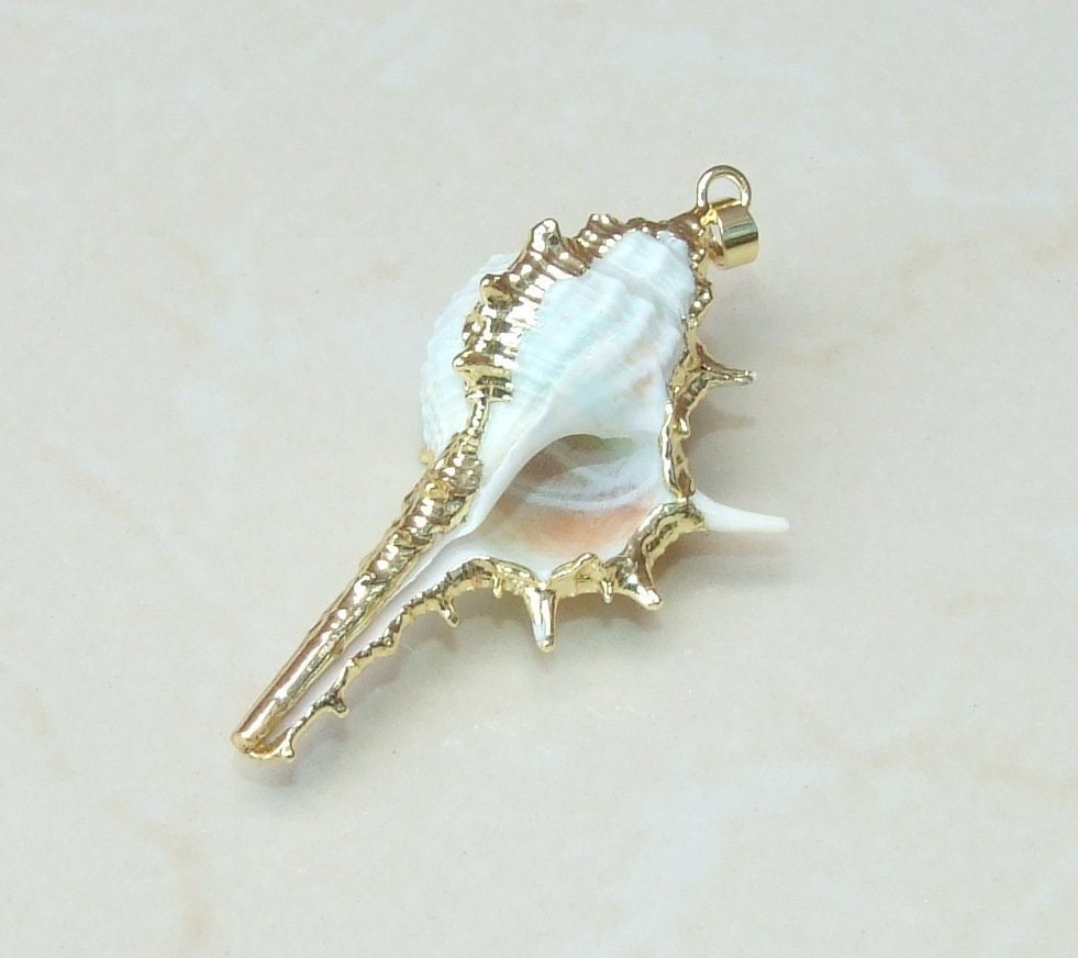 Gold or Silver Natural Murex Turnispina Seashell Pendant, Spiral Shell Bead, Display Shell, Jewelry Shell, Conch Shell, Beach Decor, 50-85mm - EDGBeadsandGems