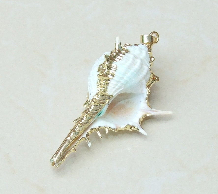 Gold or Silver Natural Murex Turnispina Seashell Pendant, Spiral Shell Bead, Display Shell, Jewelry Shell, Conch Shell, Beach Decor, 50-85mm - EDGBeadsandGems