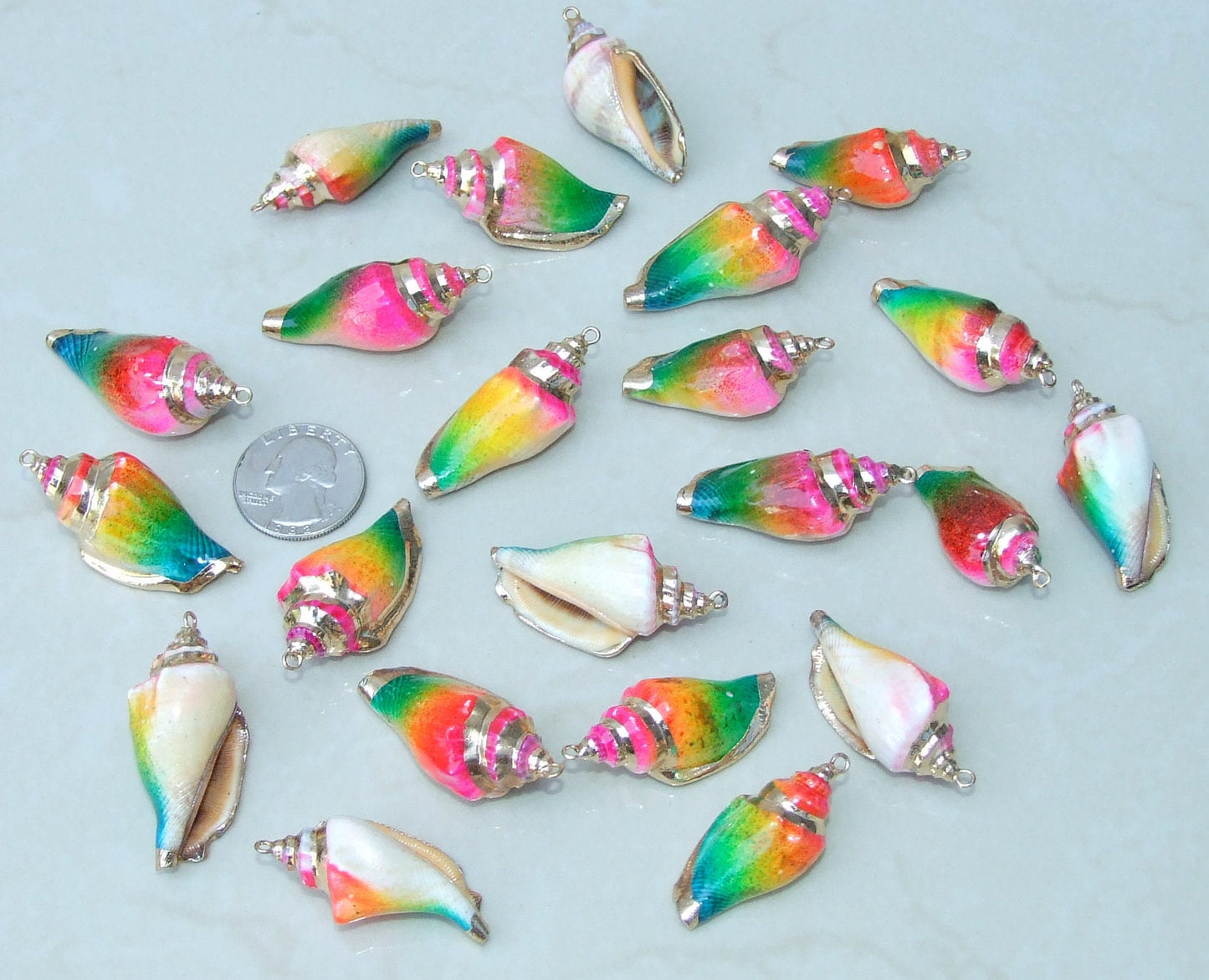 Hand Painted Gold Edge Natural Spiral Sea Shell Pendant, Spiral Shell Bead, Seashell Pendant, Shell Jewelry, Conch Shell, 35-45mm, O2C - EDGBeadsandGems