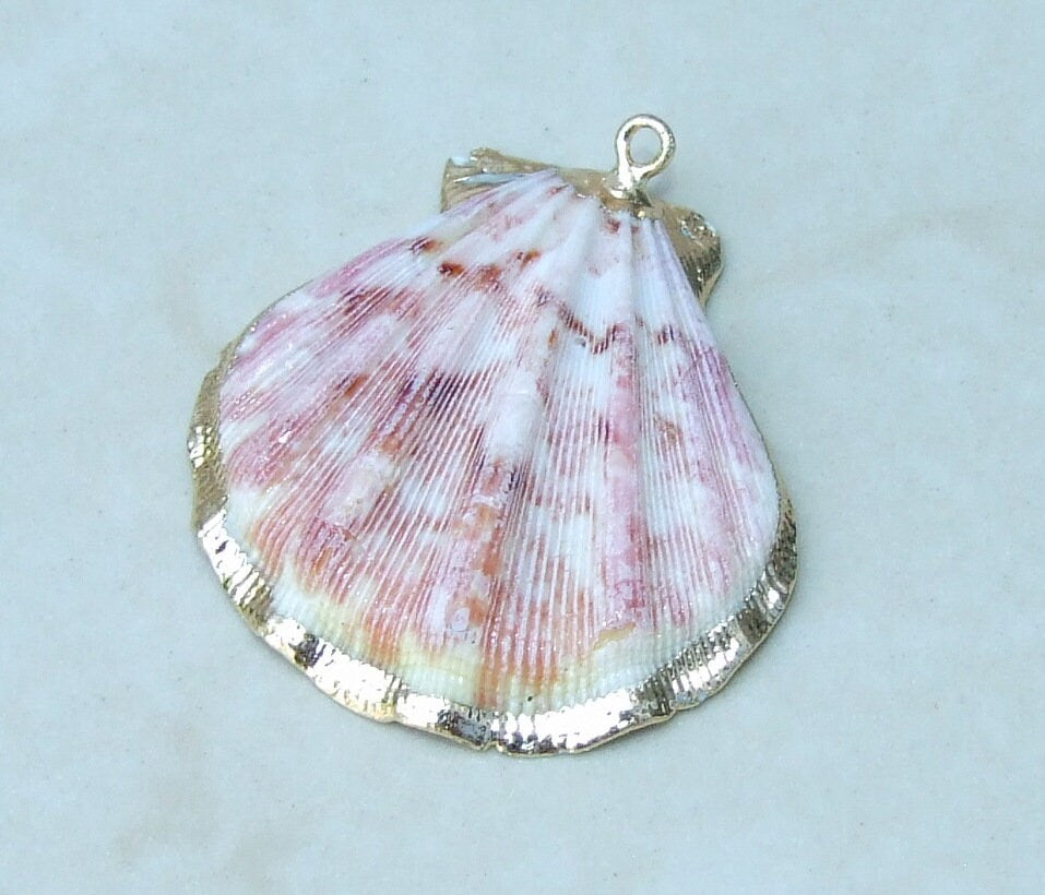 Natural Scallop Shell Pendant, Gold Edge Loop, Natural Seashell, Deep Sea, Shell Necklace, Beach Jewelry, Ocean Seashell, 35-45mm, 75-01 - EDGBeadsandGems