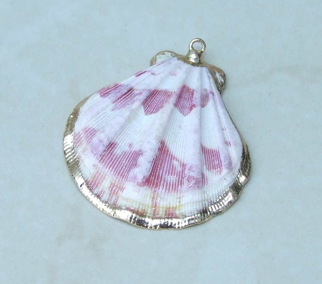 Natural Scallop Shell Pendant, Gold Edge Loop, Natural Seashell, Deep Sea, Shell Necklace, Beach Jewelry, Ocean Seashell, 35-45mm, 75-01 - EDGBeadsandGems