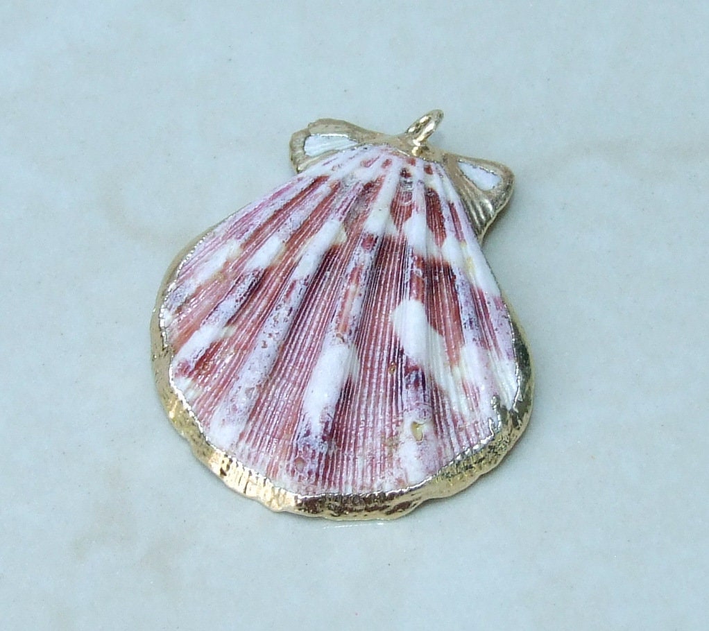 Natural Scallop Shell Pendant, Gold Edge Loop, Natural Seashell, Deep Sea, Shell Necklace, Beach Jewelry, Ocean Seashell, 35-45mm, 75-01 - EDGBeadsandGems