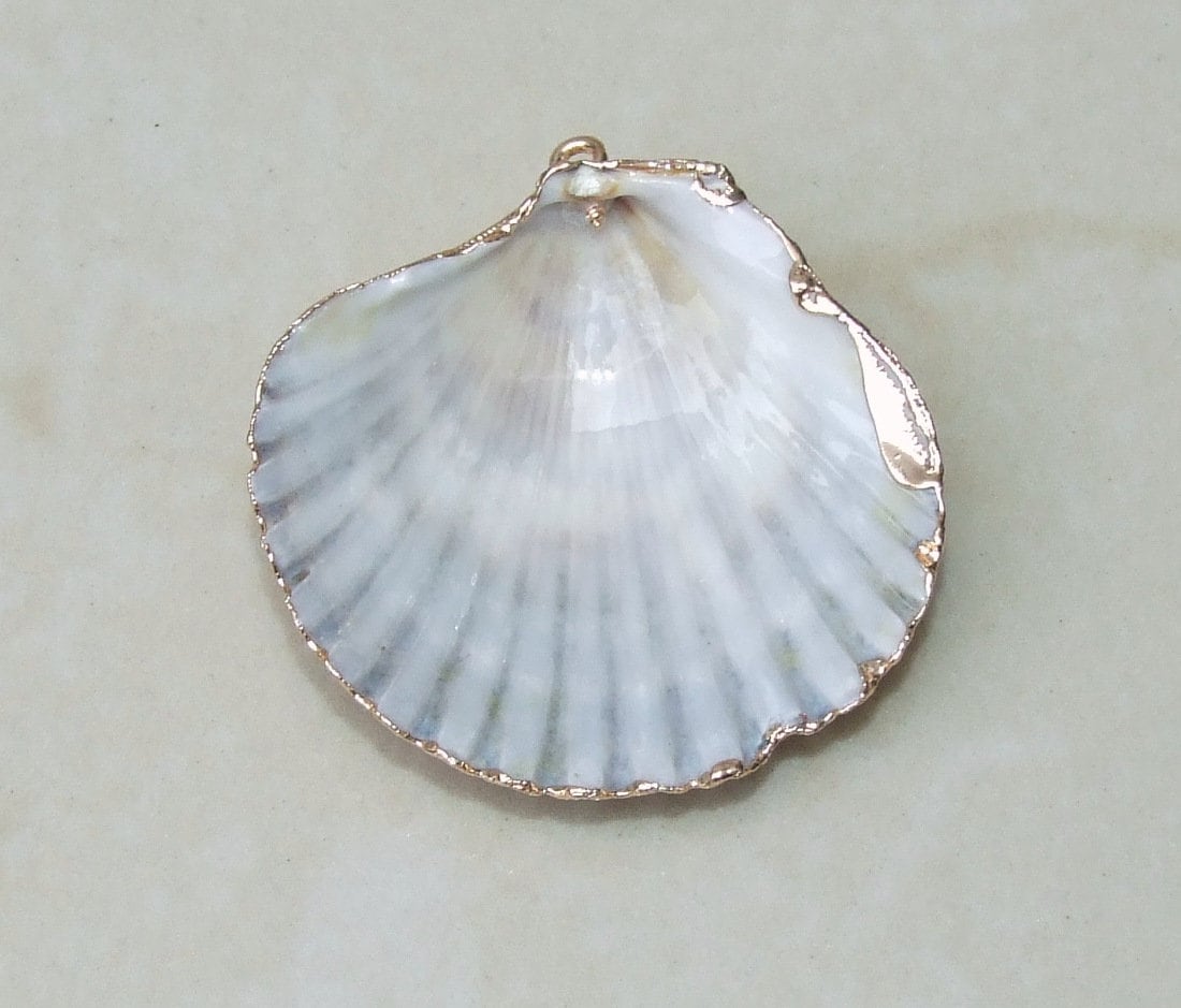 Natural Scallop Shell Pendant, Gold Edge Loop, Seashell Pendant, Seashell Necklace, Beach Jewelry, Ocean Seashell, 37mm, 45mm, 55m, 62-32 - EDGBeadsandGems