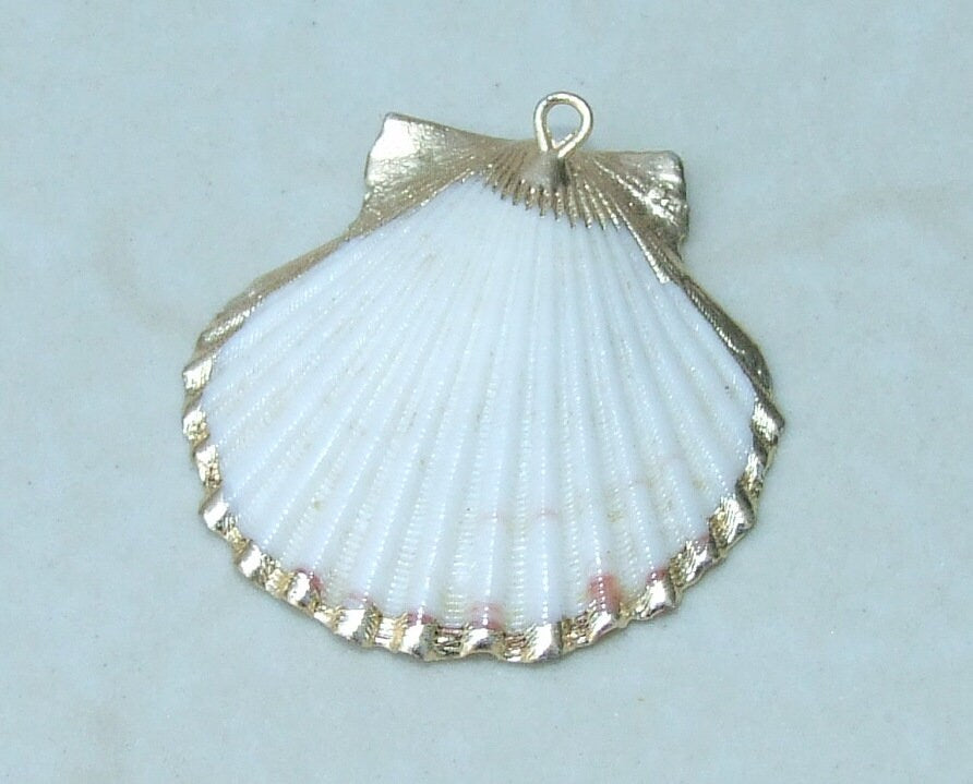 Natural Scallop Shell Pendant, Gold Edge Loop, Seashell Pendant, Seashell Necklace, Beach Jewelry, Ocean Seashell, 37mm, 45mm, 55m, 62-32 - EDGBeadsandGems