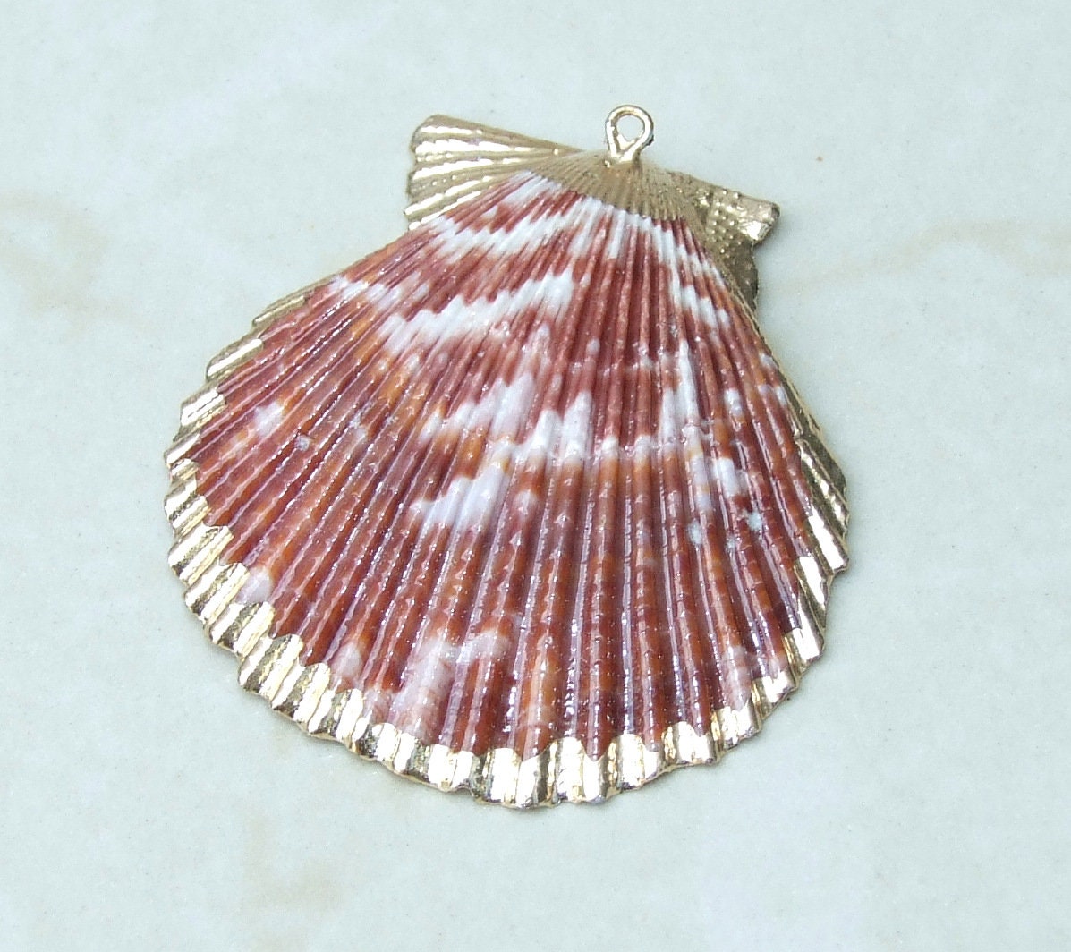 Hand Color Washed Scallop Shell Pendant, Gold Edge, Natural Seashell, Seashell Necklace, Beach Jewelry, Ocean Seashell 45, 55, 65mm 62-31 - EDGBeadsandGems