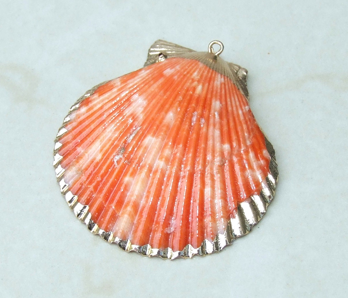 Hand Color Washed Scallop Shell Pendant, Gold Edge, Natural Seashell, Seashell Necklace, Beach Jewelry, Ocean Seashell 45, 55, 65mm 62-31 - EDGBeadsandGems