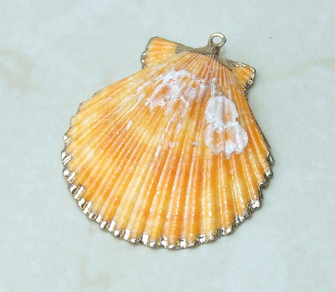 Hand Color Washed Scallop Shell Pendant, Gold Edge, Natural Seashell, Seashell Necklace, Beach Jewelry, Ocean Seashell 45, 55, 65mm 62-31 - EDGBeadsandGems