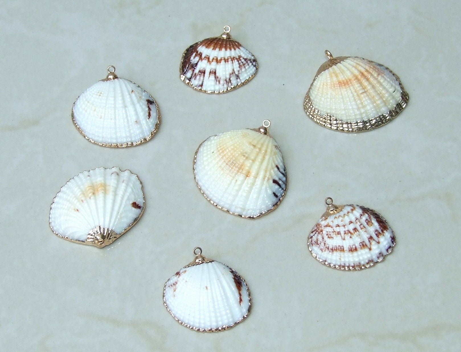 Natural Clam Shell Pendant, Gold Edge Loop, Natural Seashell, Deep Sea Shell, Shell Necklace, Beach Jewelry, Ocean Seashell, 25-33mm 6-04 - EDGBeadsandGems