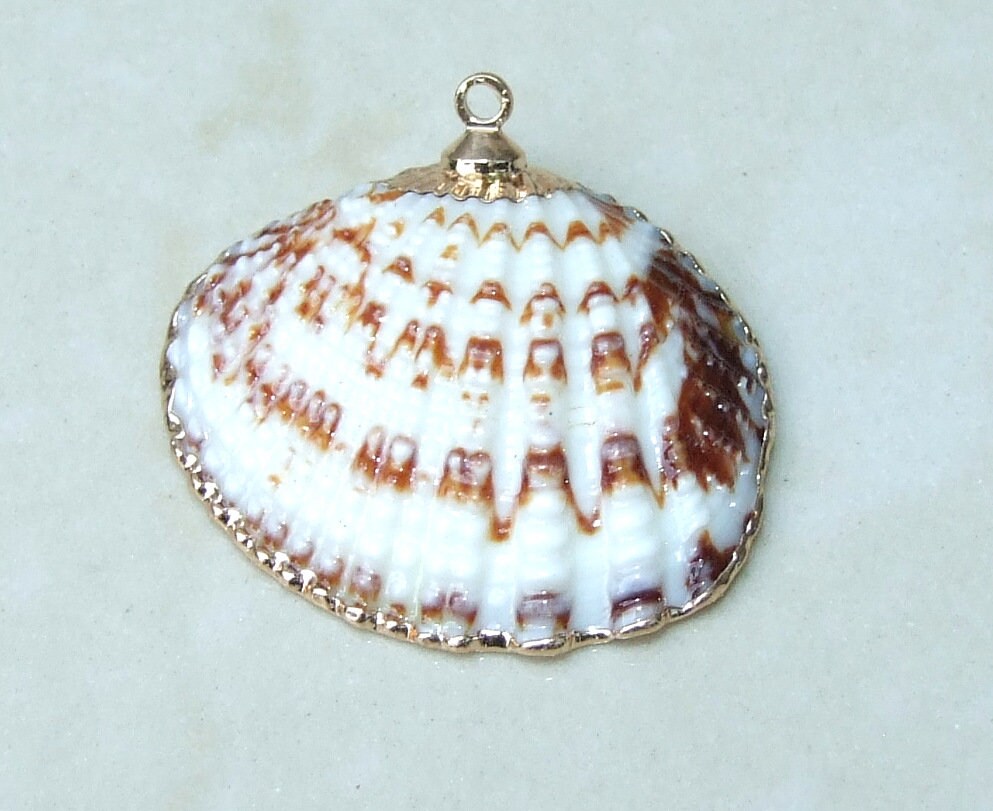 Natural Clam Shell Pendant, Gold Edge Loop, Natural Seashell, Deep Sea Shell, Shell Necklace, Beach Jewelry, Ocean Seashell, 25-33mm 6-04 - EDGBeadsandGems