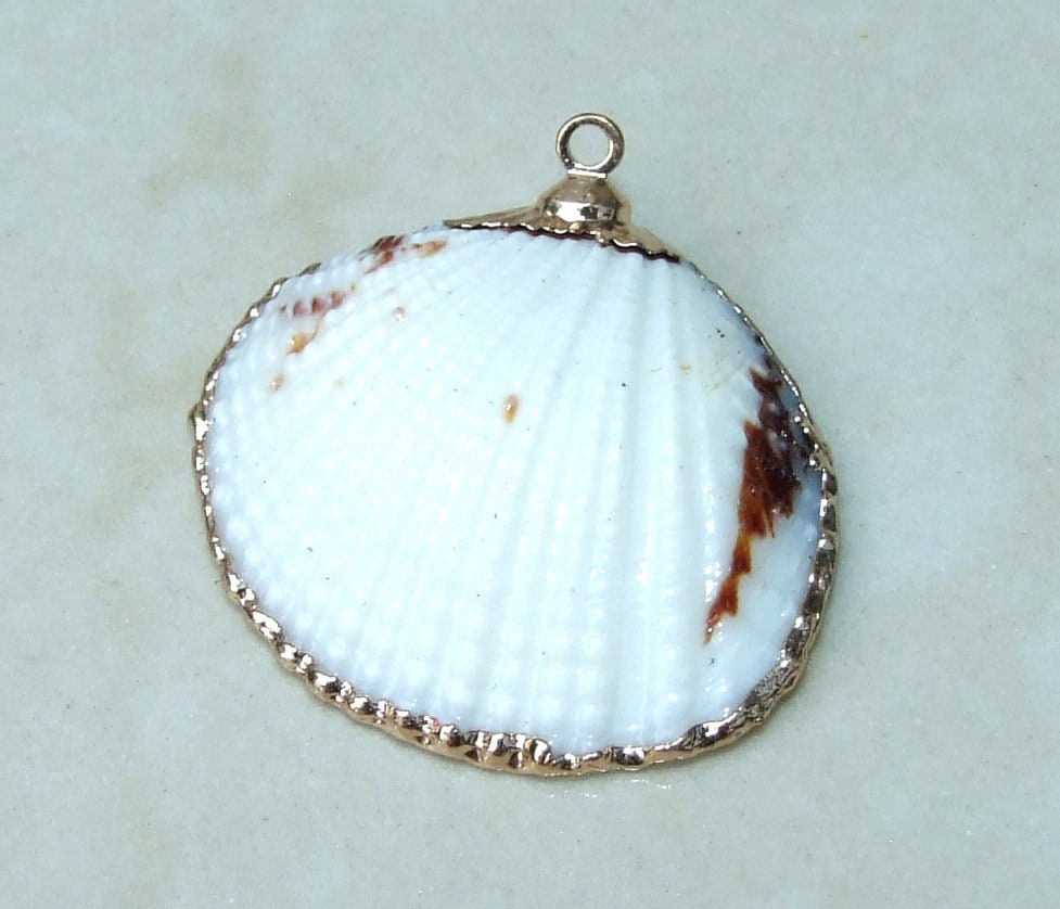 Natural Clam Shell Pendant, Gold Edge Loop, Natural Seashell, Deep Sea Shell, Shell Necklace, Beach Jewelry, Ocean Seashell, 25-33mm 6-04 - EDGBeadsandGems