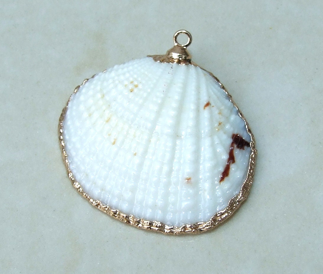 Natural Clam Shell Pendant, Gold Edge Loop, Natural Seashell, Deep Sea Shell, Shell Necklace, Beach Jewelry, Ocean Seashell, 25-33mm 6-04 - EDGBeadsandGems
