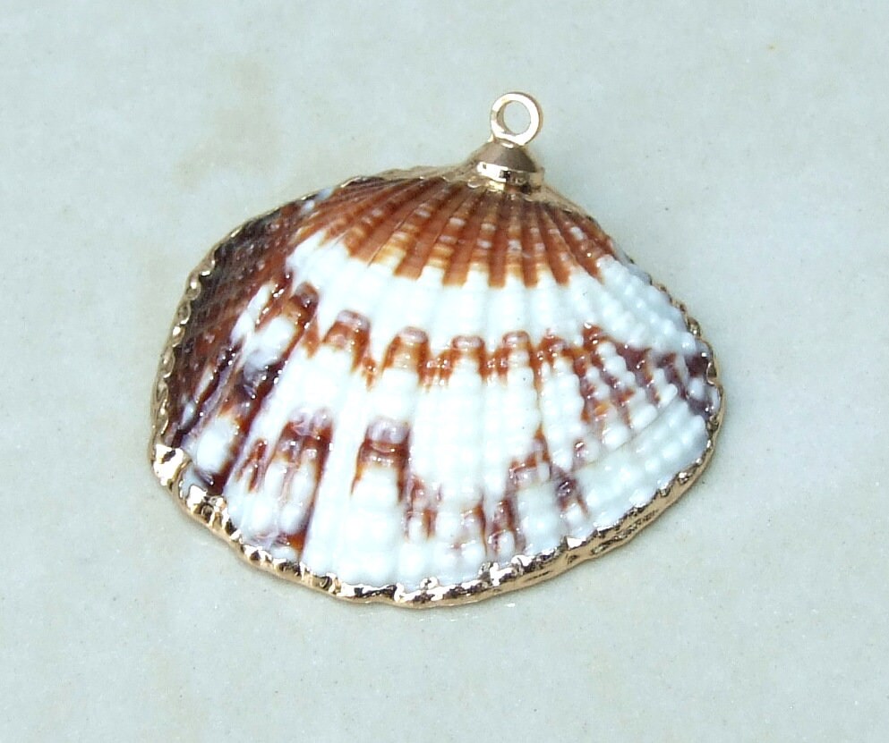 Natural Clam Shell Pendant, Gold Edge Loop, Natural Seashell, Deep Sea Shell, Shell Necklace, Beach Jewelry, Ocean Seashell, 25-33mm 6-04 - EDGBeadsandGems