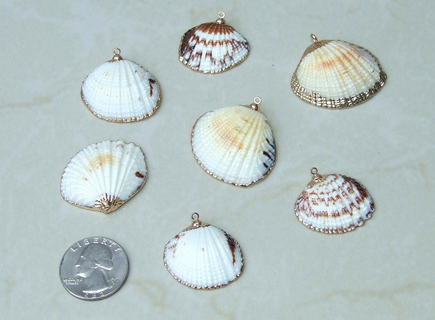 Natural Clam Shell Pendant, Gold Edge Loop, Natural Seashell, Deep Sea Shell, Shell Necklace, Beach Jewelry, Ocean Seashell, 25-33mm 6-04 - EDGBeadsandGems