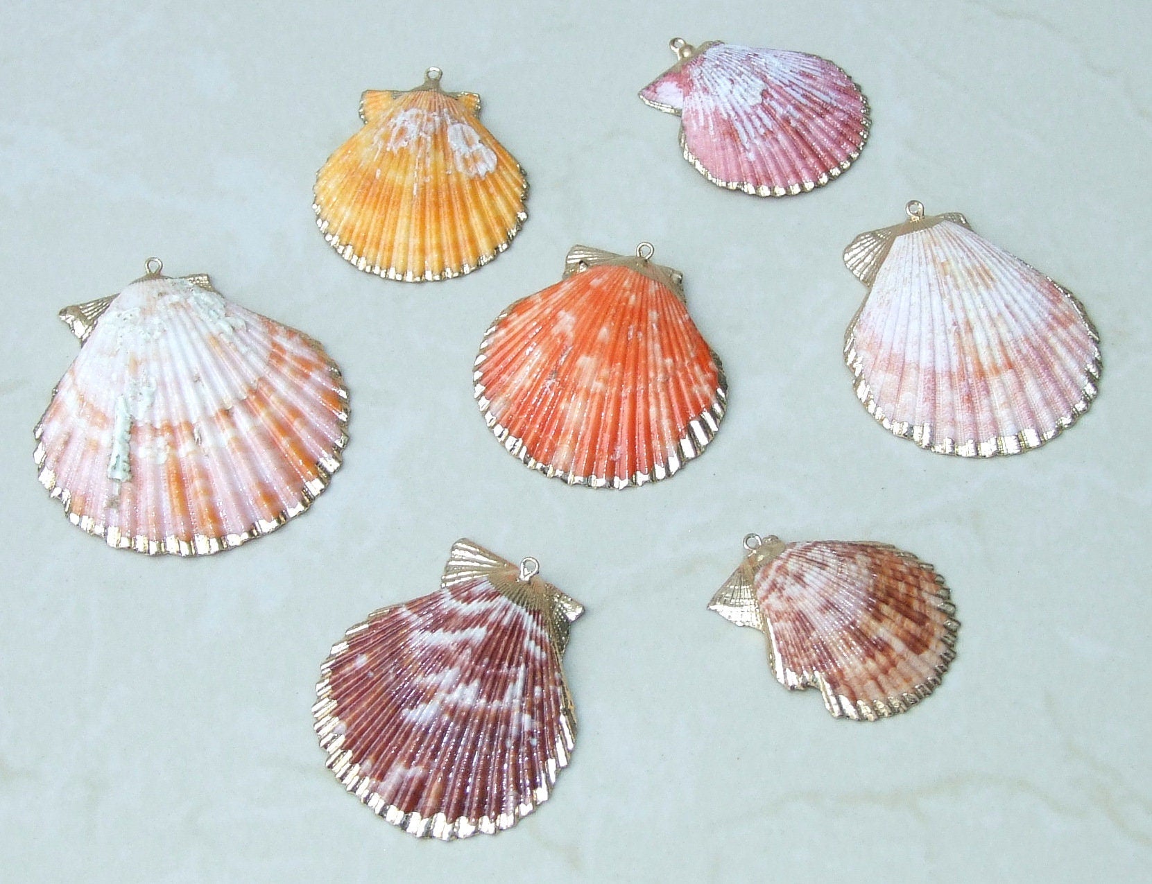 Hand Color Washed Scallop Shell Pendant, Gold Edge, Natural Seashell, Seashell Necklace, Beach Jewelry, Ocean Seashell 45, 55, 65mm 62-31 - EDGBeadsandGems