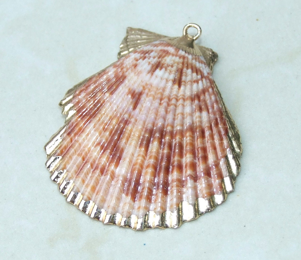 Hand Color Washed Scallop Shell Pendant, Gold Edge, Natural Seashell, Seashell Necklace, Beach Jewelry, Ocean Seashell 45, 55, 65mm 62-31 - EDGBeadsandGems