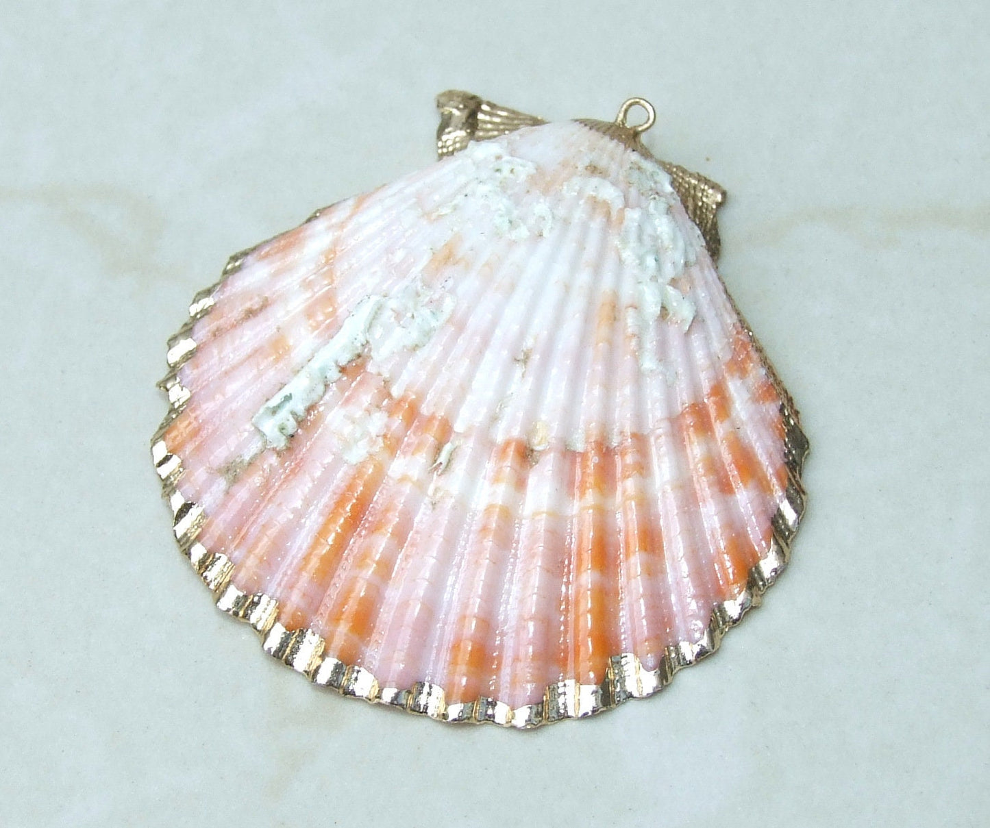 Hand Color Washed Scallop Shell Pendant, Gold Edge, Natural Seashell, Seashell Necklace, Beach Jewelry, Ocean Seashell 45, 55, 65mm 62-31 - EDGBeadsandGems