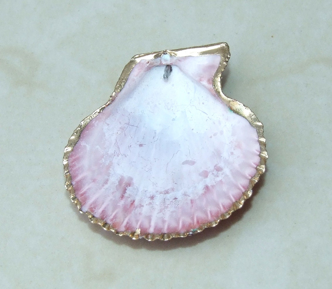 Hand Color Washed Scallop Shell Pendant, Gold Edge, Natural Seashell, Seashell Necklace, Beach Jewelry, Ocean Seashell 45, 55, 65mm 62-31 - EDGBeadsandGems