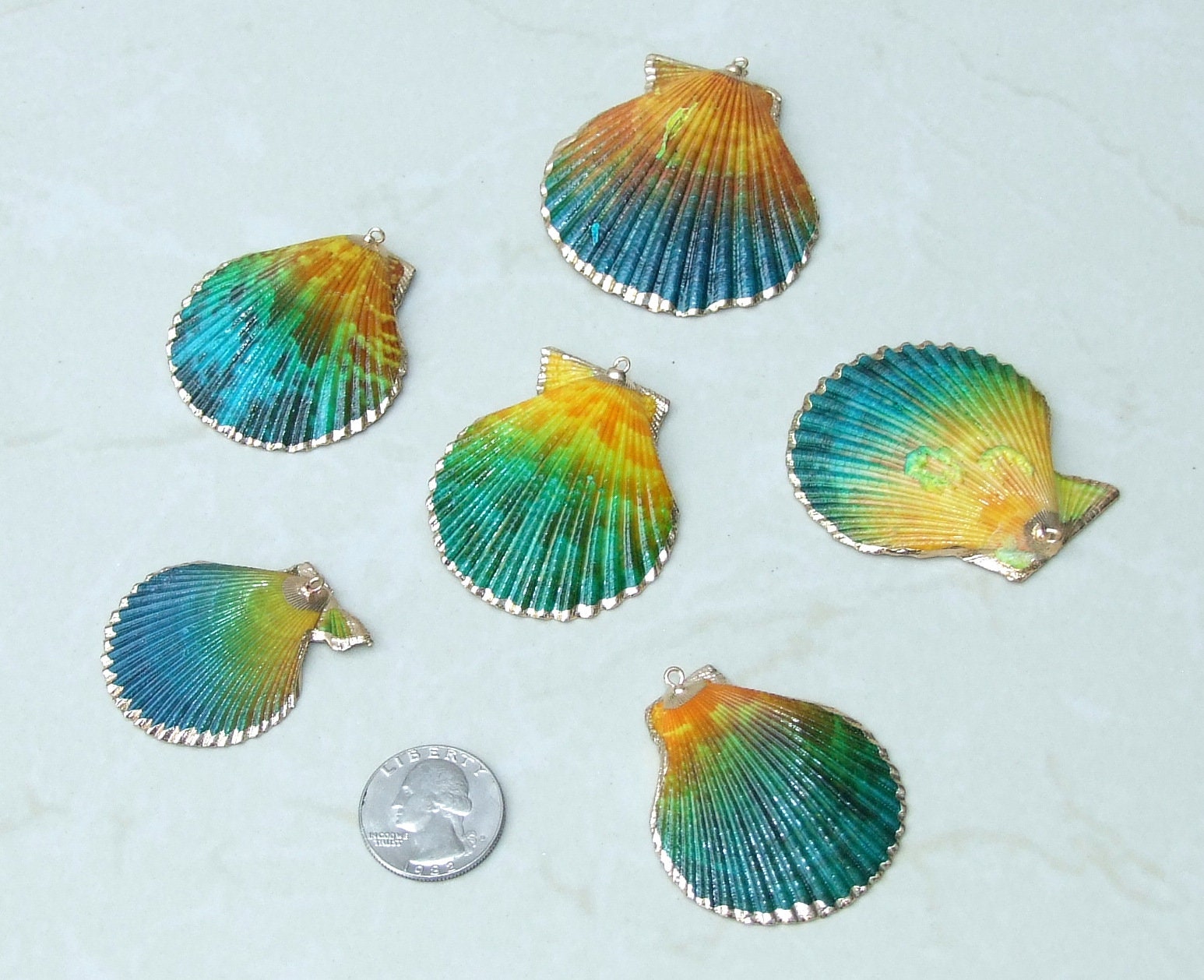 Hand Painted Scallop Shell Pendant, Gold Edge Loop, Natural Seashell, Seashell Necklace, Beach Jewelry, Ocean Seashell, 45mm, 55mm 62-05F - EDGBeadsandGems