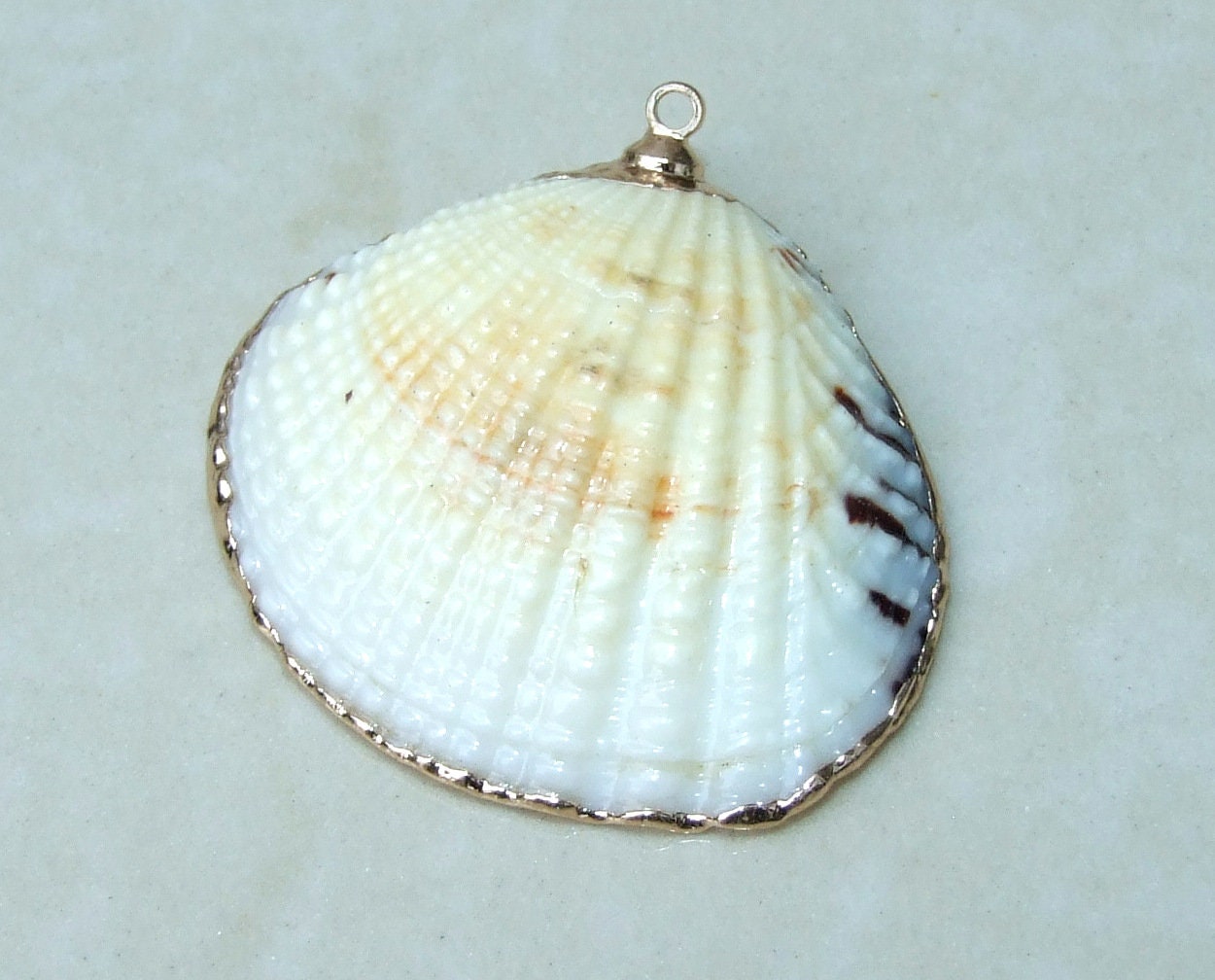 Natural Clam Shell Pendant, Gold Edge Loop, Natural Seashell, Deep Sea Shell, Shell Necklace, Beach Jewelry, Ocean Seashell, 25-33mm 6-04 - EDGBeadsandGems