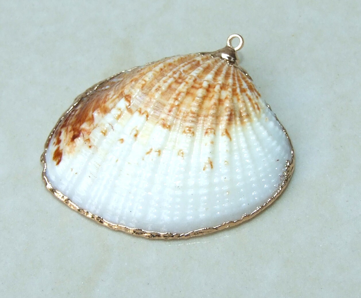 Natural Clam Shell Pendant, Gold Edge Loop, Natural Seashell, Deep Sea Shell, Shell Necklace, Beach Jewelry, Ocean Seashell, 25-33mm 6-04 - EDGBeadsandGems