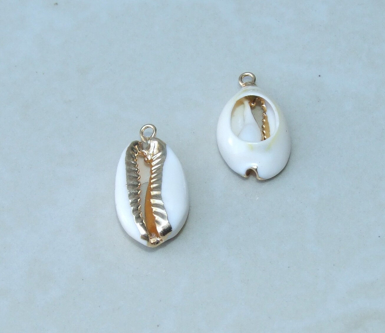 4/10 Gold or Silver Plated Cowrie Shell Money Shell Pendants, Natural Shell Beach Jewelry, Beach Necklace, Seashell jewelry, 18-22mm, 4-19 - EDGBeadsandGems