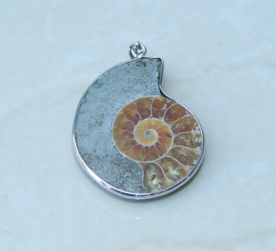 Ammonite Pendant, Fossil Pendant, Shell Pendant, Gemstone Pendant, Ammonite Slice, Nautilus Fossil, Silver Bezel & Bail, 30mm x 37mm, 9403