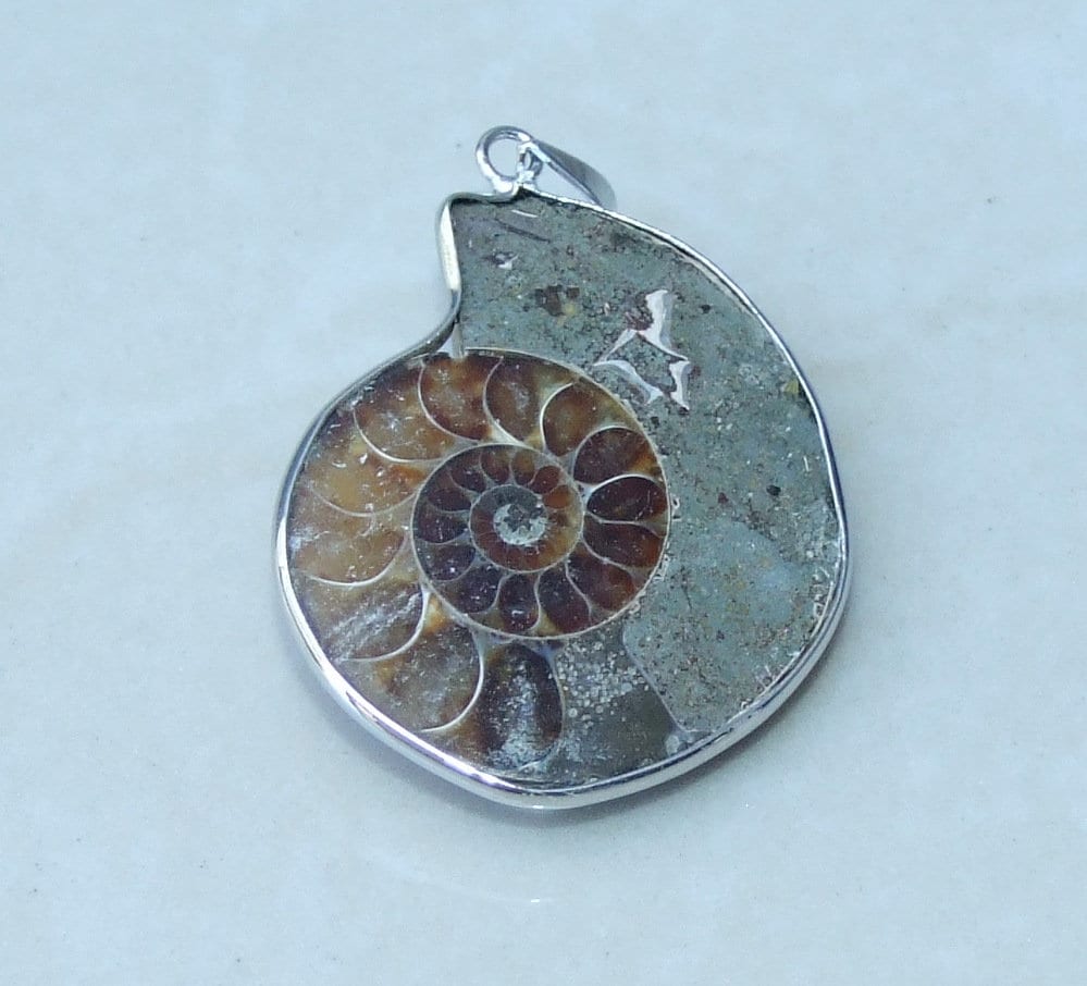 Ammonite Pendant, Fossil Pendant, Shell Pendant, Gemstone Pendant, Ammonite Slice, Nautilus Fossil, Silver Bezel & Bail, 30mm x 35mm, 8168 - EDGBeadsandGems