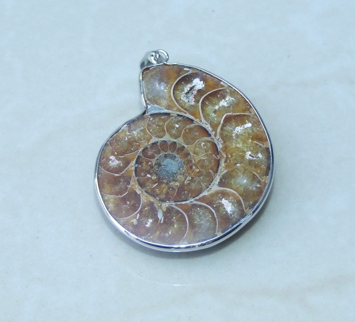 Ammonite Pendant, Fossil Pendant, Shell Pendant, Gemstone Pendant, Ammonite Slice, Nautilus Fossil, Silver Bezel & Bail, 34mm x 40mm, 9402 - EDGBeadsandGems