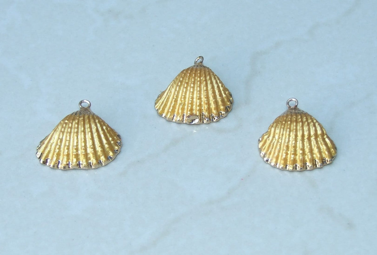 Small Gold Seashell Small Gold Natural Seashell, Sea Shell Pendant, Clam Shell, Shell Bead ...