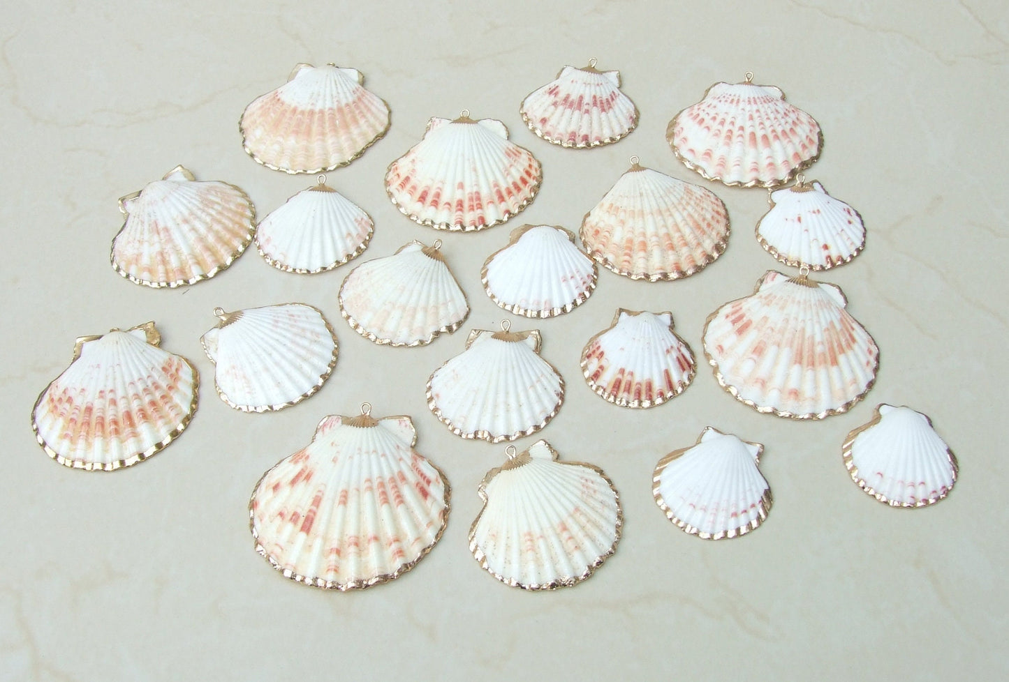Natural Scallop Shell Pendant, Gold Edge, Beach Jewelry, Ocean Seashell Charm, 63-32 - EDGBeadsandGems