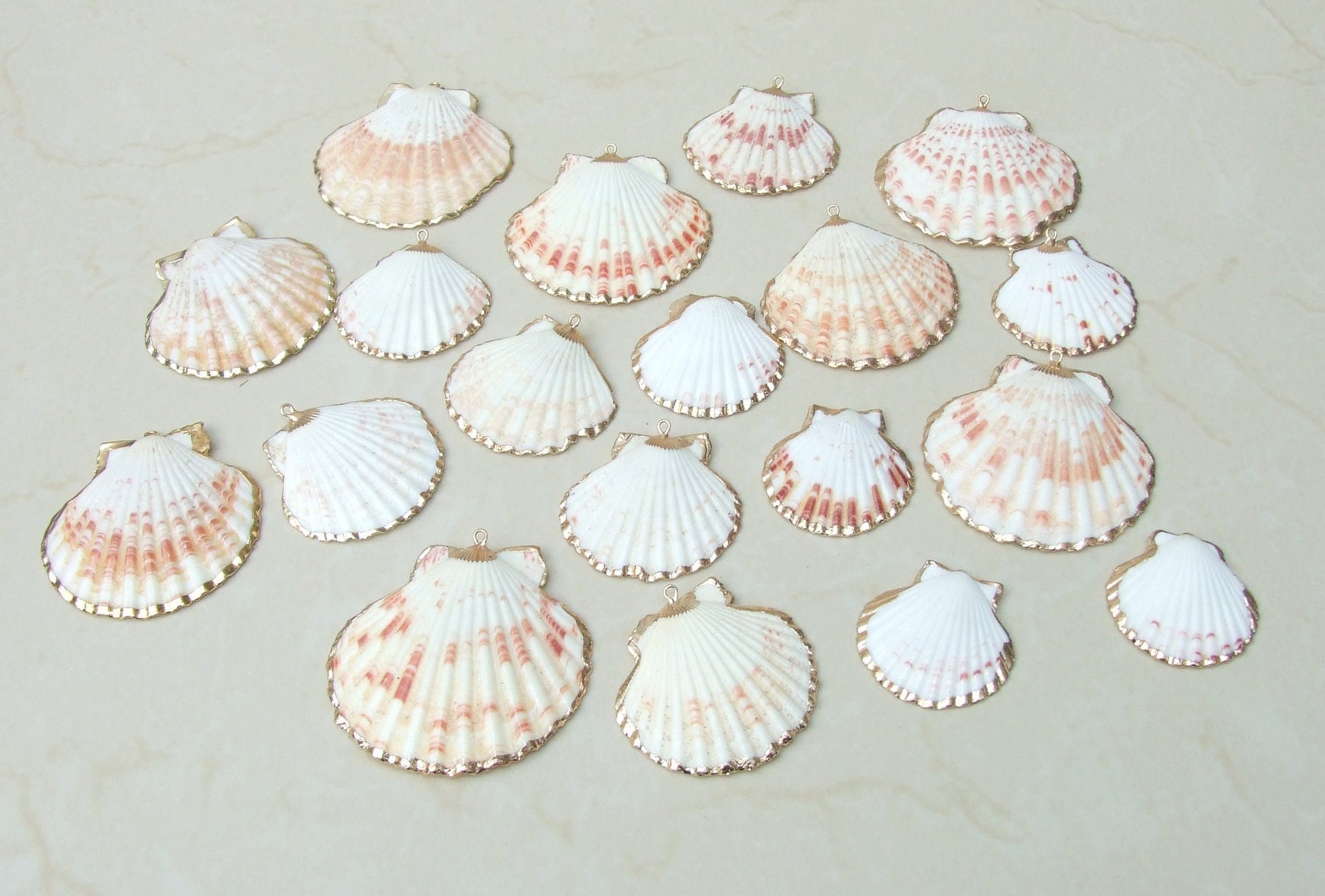 Natural Scallop Shell Pendant, Gold Edge, Beach Jewelry, Ocean Seashell Charm, 63-32 - EDGBeadsandGems