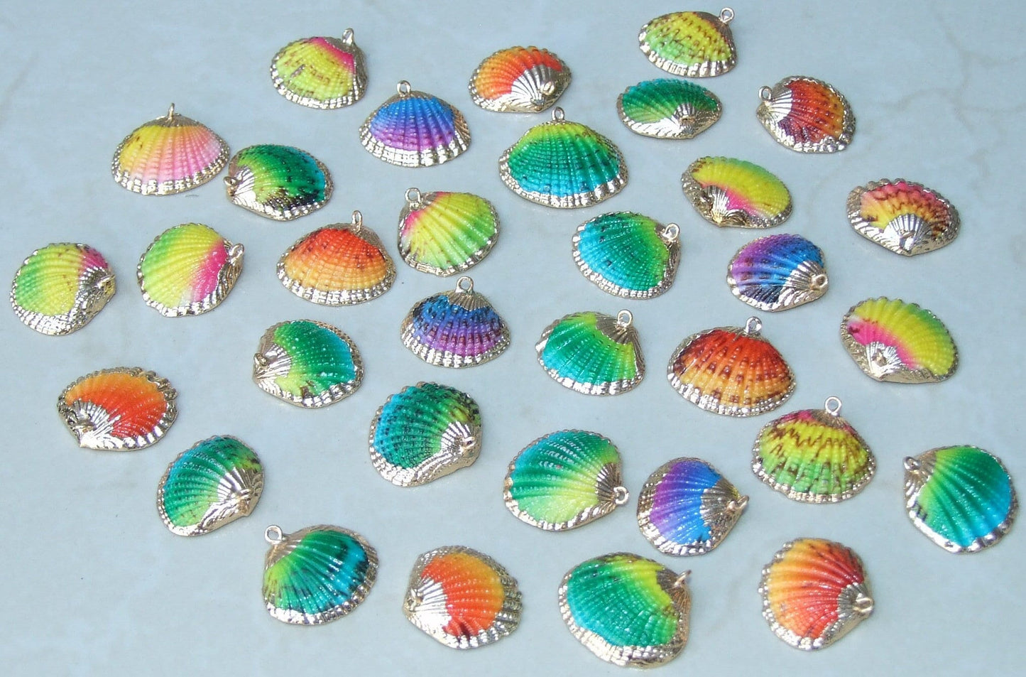 Small Gold Edge Natural Seashell, Sea Shell Pendant, Clam Shell, Shell Bead Pendant, Ocean, Beach, Summer Jewelry, BOHO, 25mm to 28mm 8-30 - EDGBeadsandGems