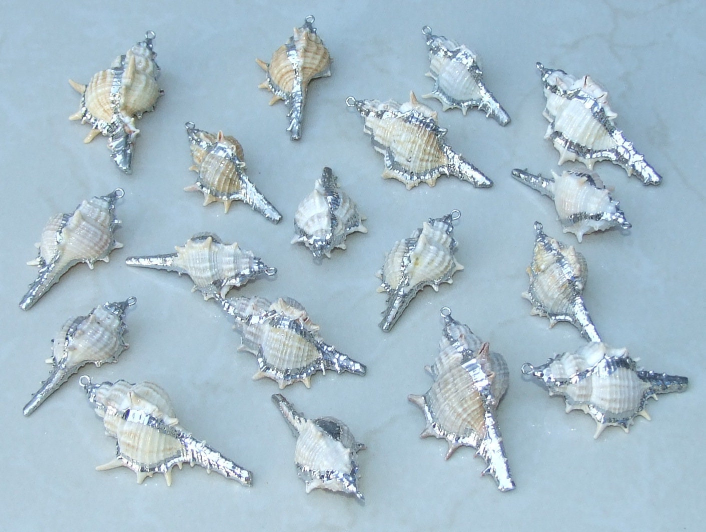 Gold or Silver Natural Murex Turnispina Seashell Pendant, Spiral Shell Bead, Display Shell, Jewelry Shell, Conch Shell, Beach Decor, 50-85mm - EDGBeadsandGems