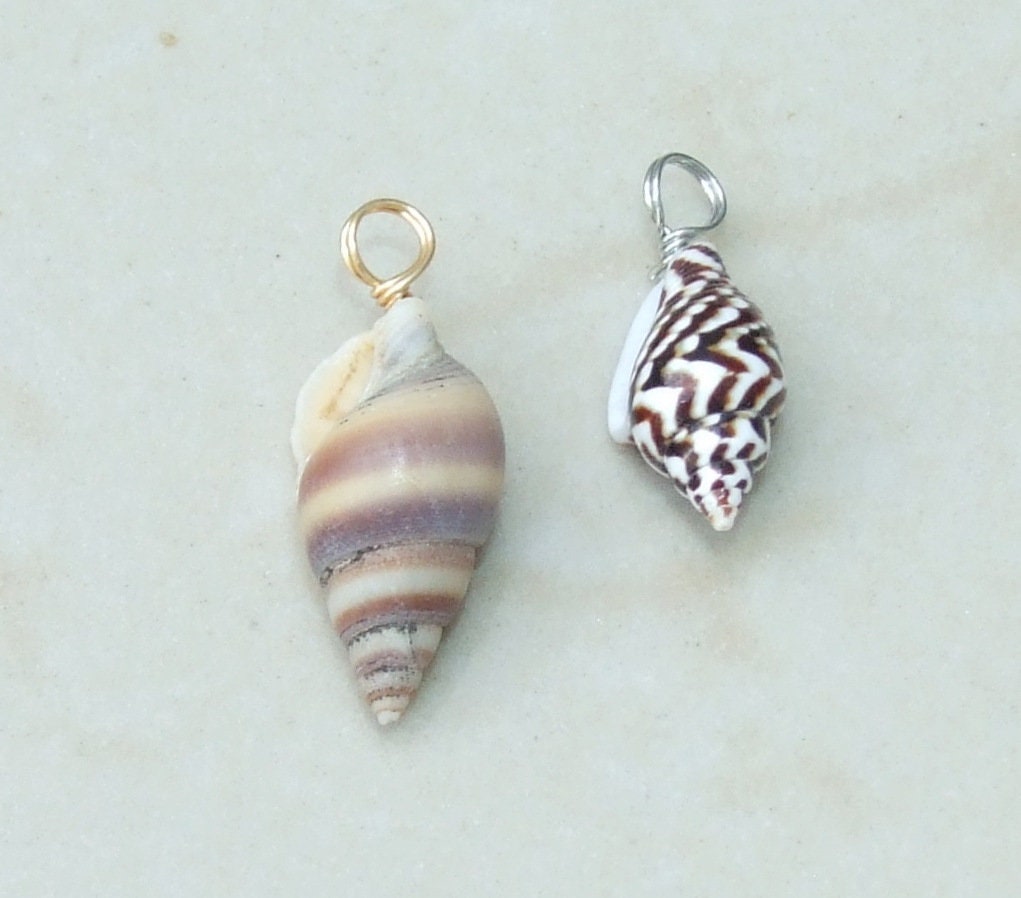 Five Small Natural Spiral Seashell Pendants, Spiral Shell Bead, Seashell Pendant, Ocean Shell Jewelry, Conch Shell, 15-25mm, 159 - EDGBeadsandGems