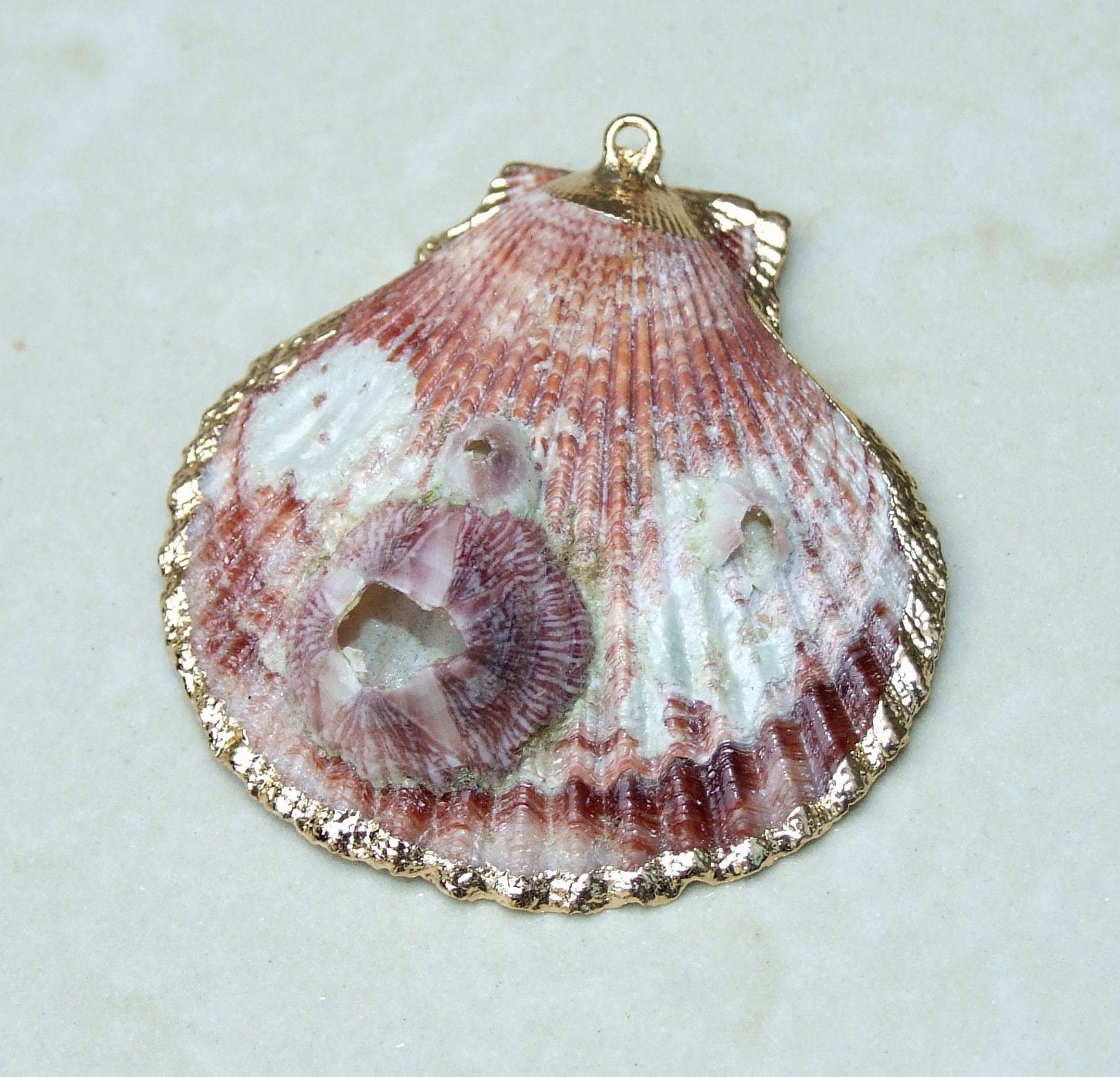 Barnacles, Shell Pendants with Barnacles, Color Washed Scallop Shell Pendant, Gold Edge, Seashell Necklace, Ocean Beach Jewelry, 45-65+mm - EDGBeadsandGems