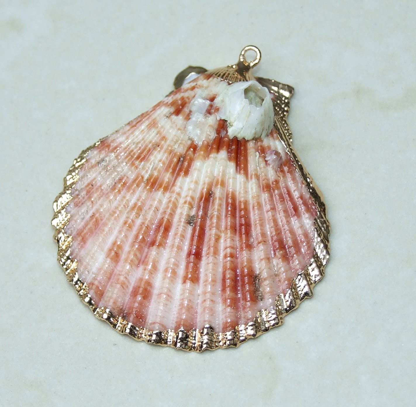 Barnacles, Shell Pendants with Barnacles, Color Washed Scallop Shell Pendant, Gold Edge, Seashell Necklace, Ocean Beach Jewelry, 45-65+mm - EDGBeadsandGems