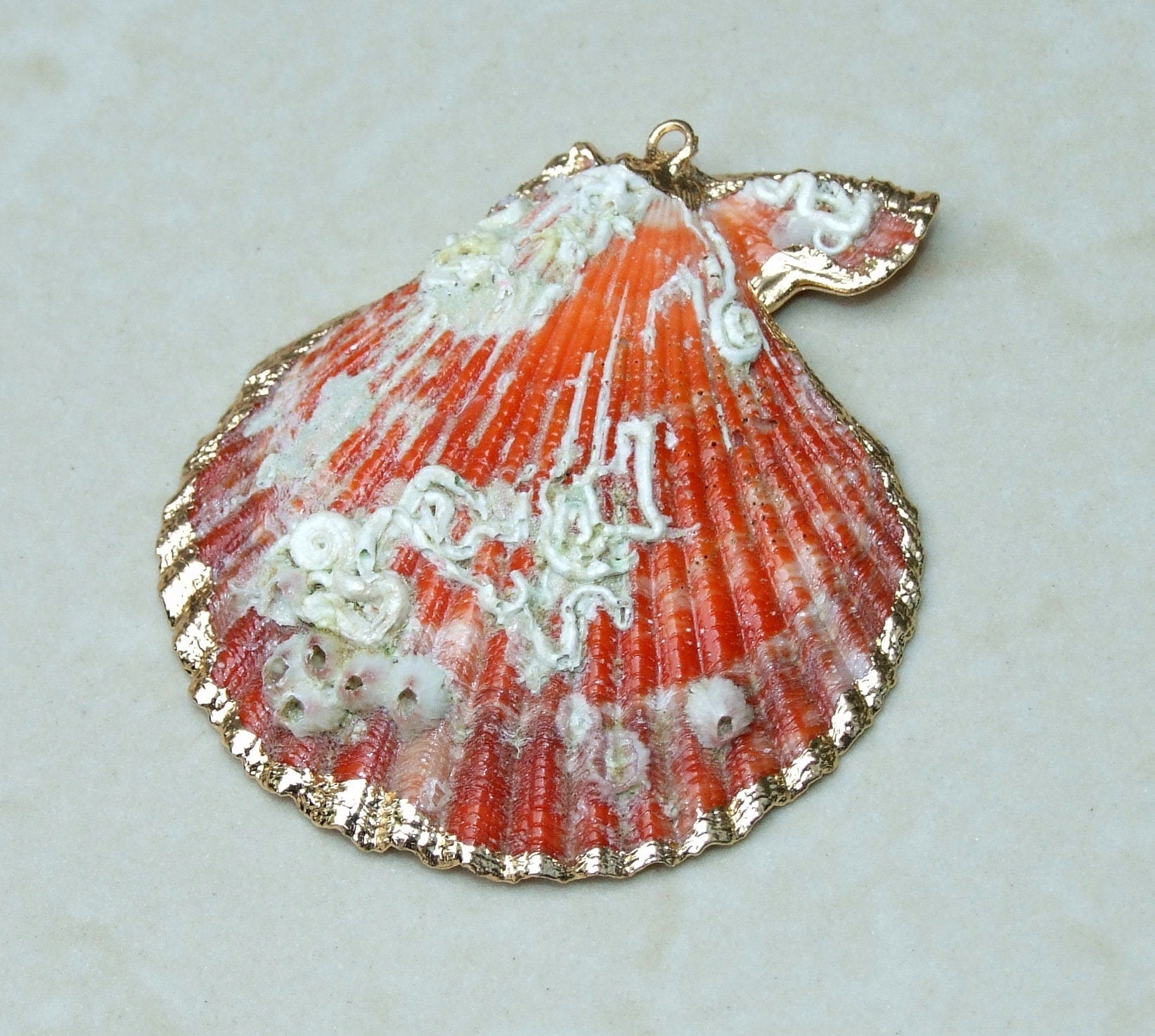 Barnacles, Shell Pendants with Barnacles, Color Washed Scallop Shell Pendant, Gold Edge, Seashell Necklace, Ocean Beach Jewelry, 45-65+mm - EDGBeadsandGems