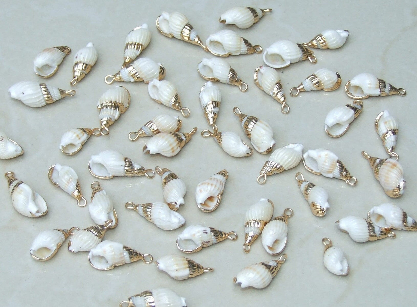 Small Gold Edge SeaShell Pendant, Natural Sea Shell, Spiral Shell Pendant, Shell Bead, Shell Jewelry, Seashell Pendant - 20-22mm, 9-23 - EDGBeadsandGems