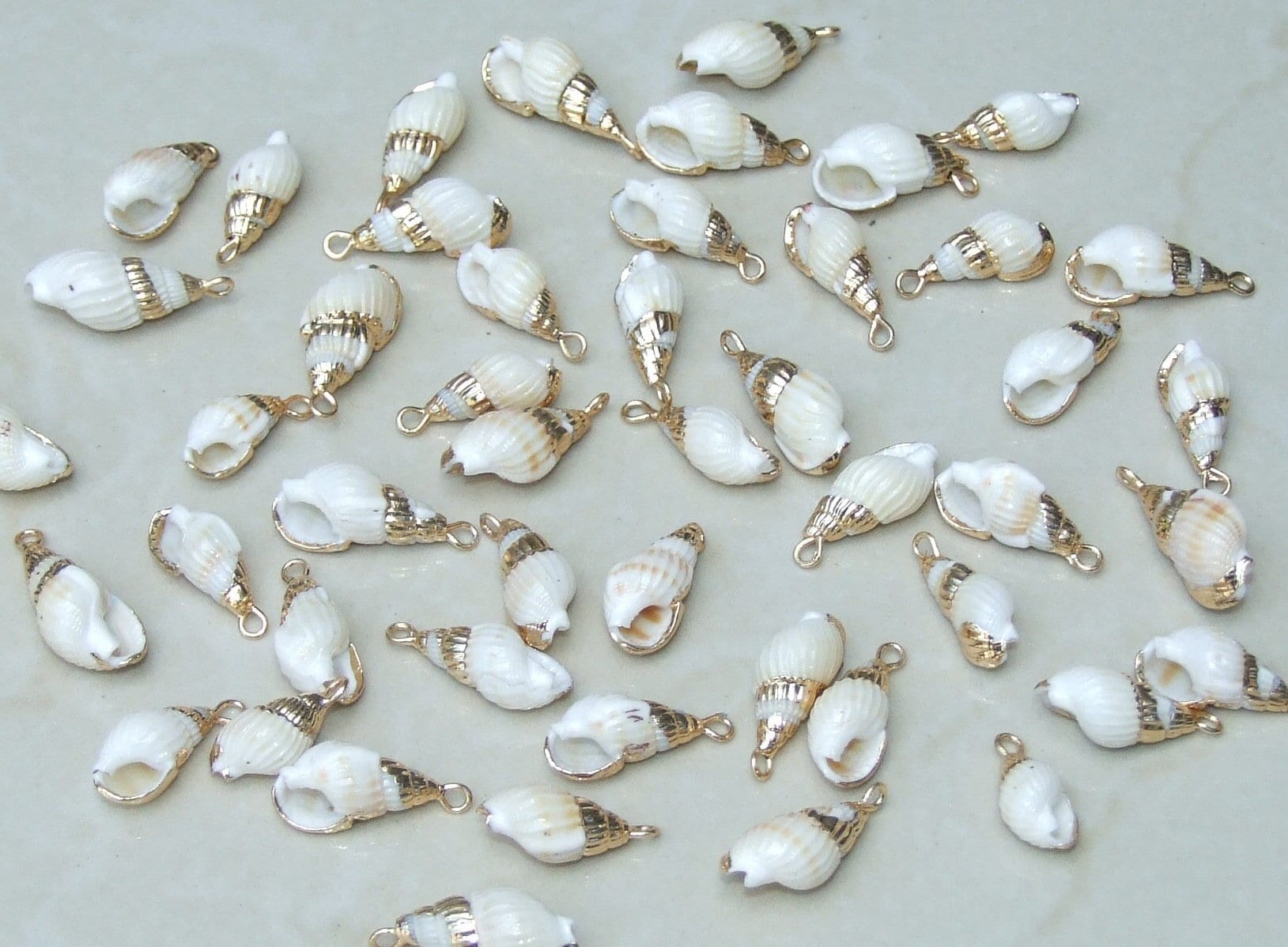 Small Gold Edge SeaShell Pendant, Natural Sea Shell, Spiral Shell Pendant, Shell Bead, Shell Jewelry, Seashell Pendant - 20-22mm, 9-23 - EDGBeadsandGems